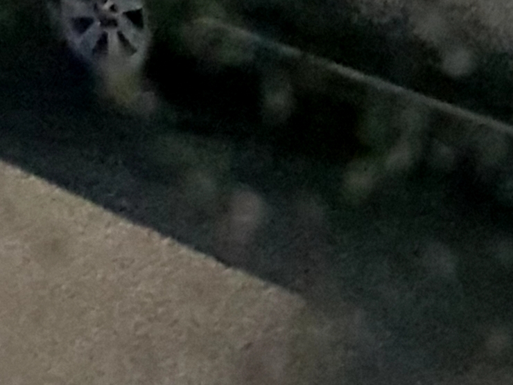 Friday 04/12/20 Snow and gone